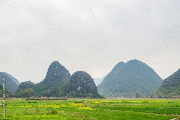Fototapeta Breathtaking Karst Mountains and Lush Green Fields in Guilin