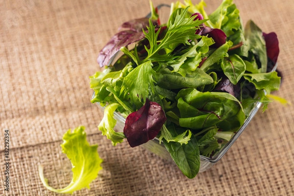 Fototapeta set of salad leaves