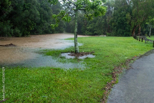 Obraz Flood water in the park