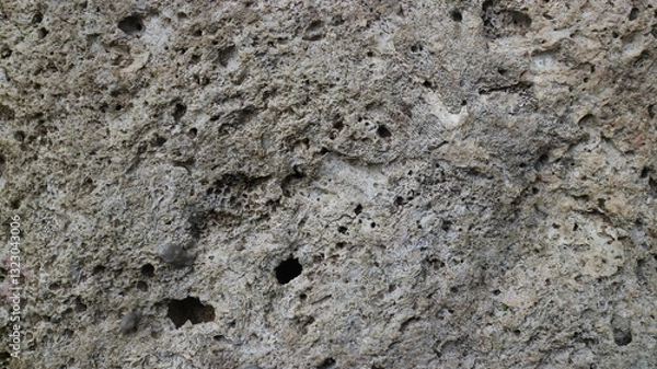 Fototapeta Stunning Natural Pattern of Fossilized Dead Coral Reefs Texture Close-Up