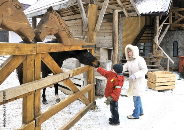 Fototapeta Mother and two sons feed a horse in winter
