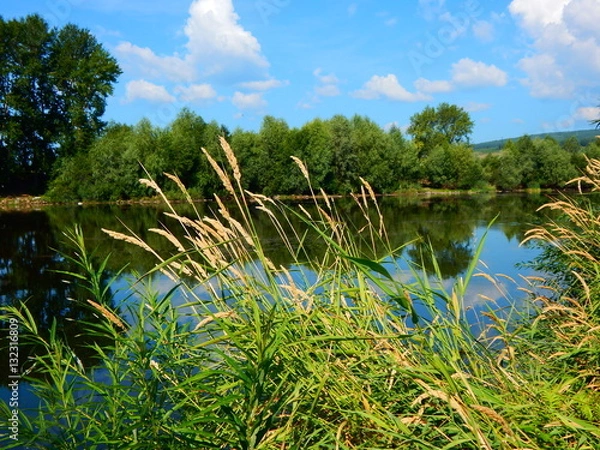 Fototapeta лето река 