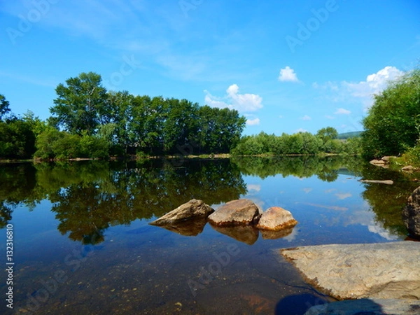 Obraz река деревья