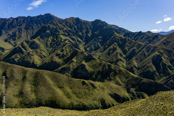 Fototapeta ニュージーランド「テアラロア」の山岳風景