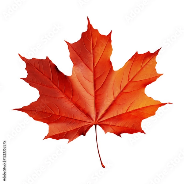 Fototapeta autumn maple leaf isolated on transparent background. Generative ai