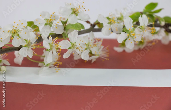 Fototapeta May 4, Independence Day of Latvia, greeting design with flowers and Latvian flag.