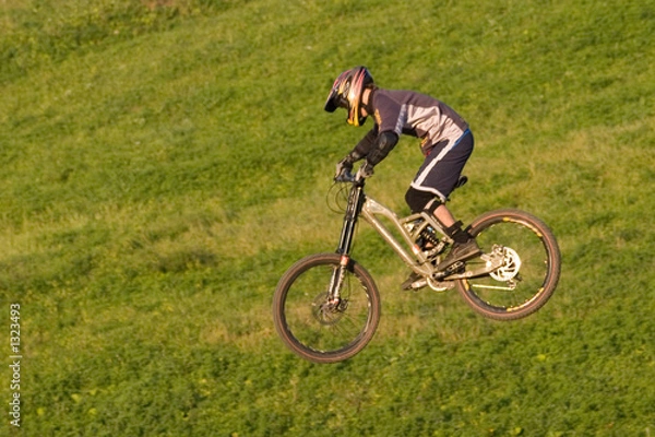 Obraz mountain biker jumping