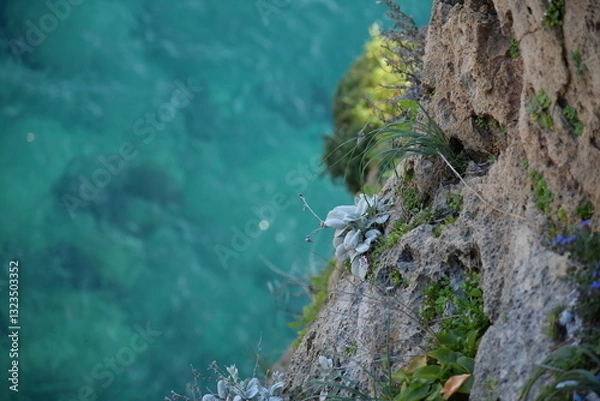 Obraz Blaues Meer und Klippen