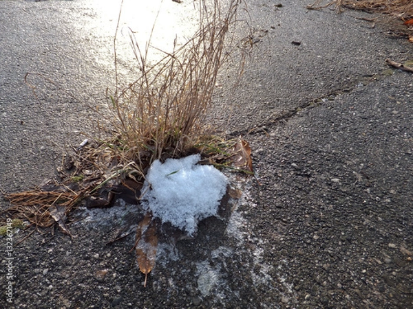 Fototapeta winter scene