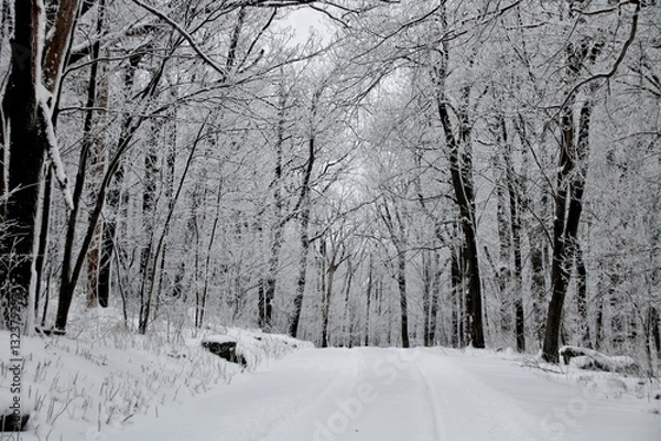Fototapeta Mount Davis PA