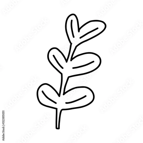 Fototapeta Hand drawn plant with leaves, outline doodle vector illustration isolated on white background. Monochrome botanical nature element.