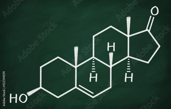 Obraz Structural model of DHEA