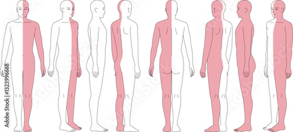 Obraz 半身色分けした人体のイラスト。前面、背面、斜めの略図。