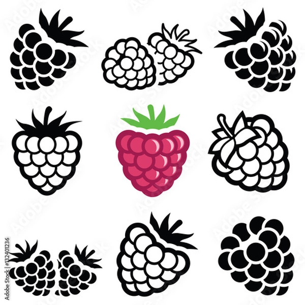 Fototapeta Raspberry icon collection - vector illustration