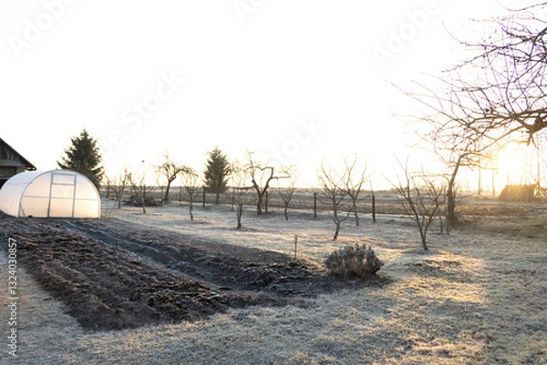 Obraz spring frosts on the grass in the garden plot at dawn