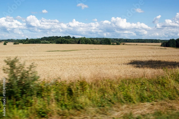 Fototapeta view of field from moving car. blur