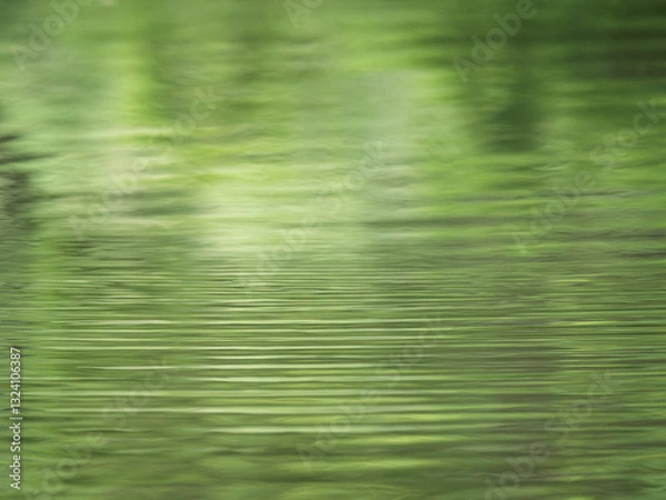 Fototapeta background of green water ripple, calm pond with beautiful reflection on water, abstract green wave, natural ripple background