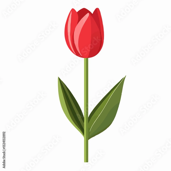 Fototapeta Very Simple flat 2D icon red and orange tulip isolated on a white background, vector, flat design, animation design, simple flat 2D icon, minimalist design, clipart