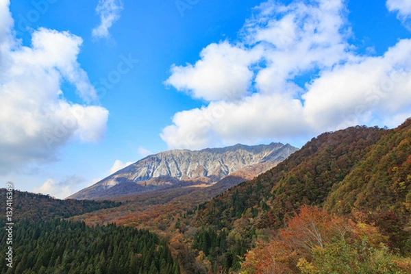Fototapeta 大山の紅葉 -鍵掛峠からのブナの森と南壁-