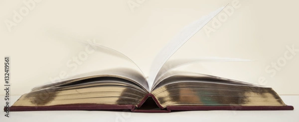 Obraz Open antique book with gold cut