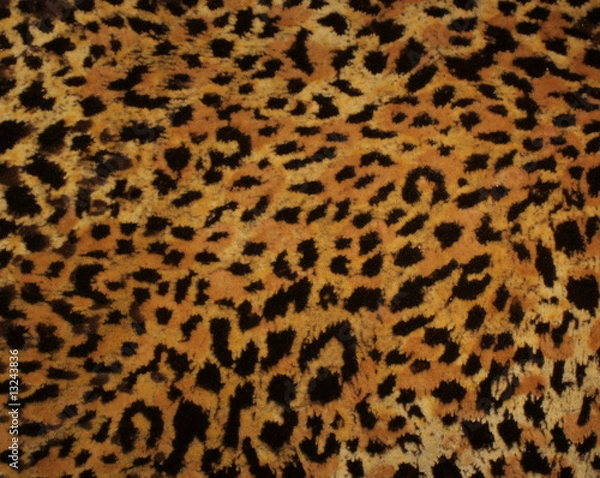 Fototapeta Leopard hide fur