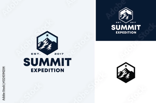 Fototapeta Top Mount Hexagon Badge Emblem with Rocky Ice Snow Peak Summit Mountain Silhouette for Adventure Outdoor Expedition logo design