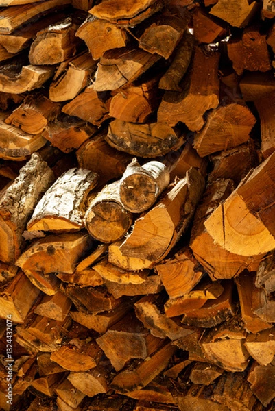 Obraz Wood Pile
