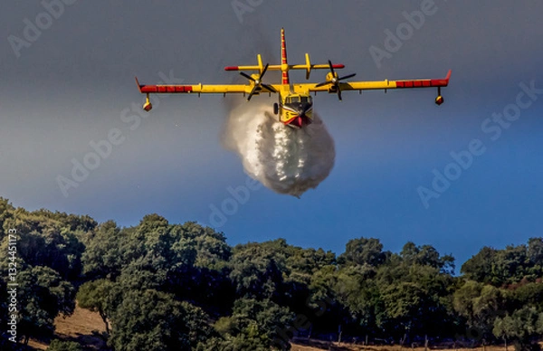 Obraz Canadair