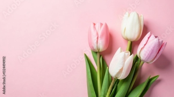 Fototapeta A delicate bouquet of pastel tulips rests on a soft pink background, creating a serene and elegant springtime image.