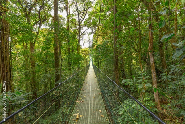 Fototapeta Hanging bridge in Monteverde Cloud Forest on a foggy day- Costa Rica