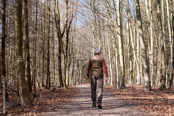 Fototapeta An elderly hiker walks alone through a sunlit forest on a crisp March morning. The trees are still bare, embracing the quiet. Fresh air, golden light, and solitude guide his path through nature.