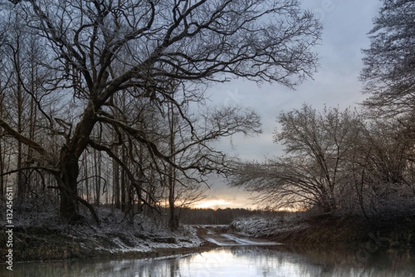 Obraz Winter landscape at sunset with the sky, river and trees.