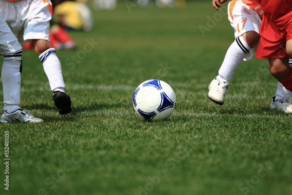 Fototapeta サッカー　フットボール