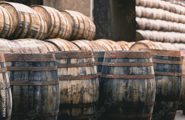 Obraz Old vintage whisky barrels filled of whiskey placed in order in