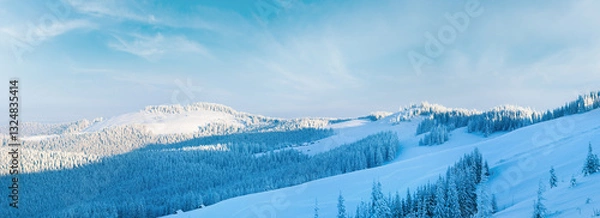 Fototapeta Morning winter calm mountain panorama with sheds group on slope (Carpathian Mountains, Ukraine). 