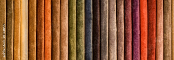 Obraz colored velvet range