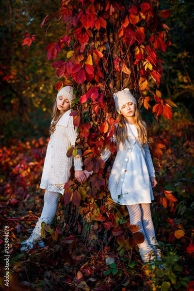 Fototapeta Twins leaning over the tree sith eyes closed. Shooting outdoors at sunset in autumn
