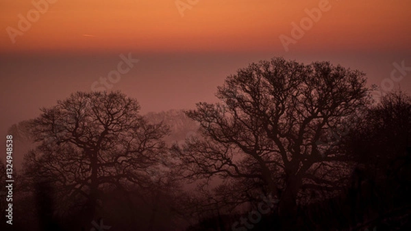Obraz Sunrise winter trees