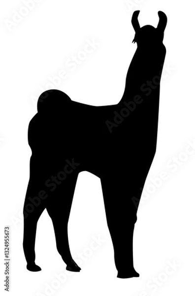 Obraz Llama silhouette