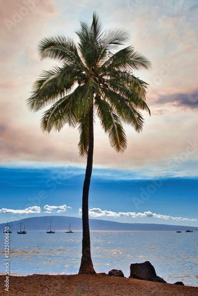 Fototapeta Lone palm tree at sunset on maui.