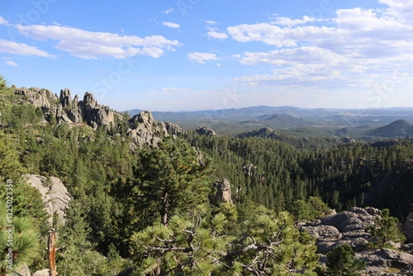 Obraz Mount Rushmore National Park