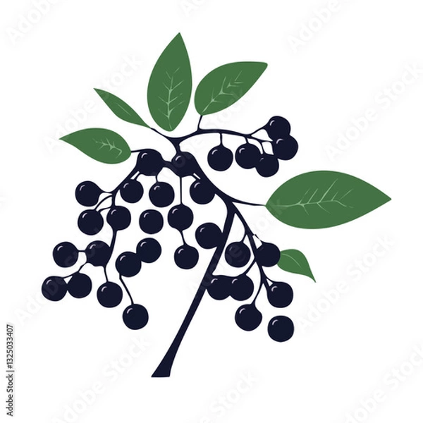Fototapeta Elderberry Icon – Simple and Clean Design, Healthy Elderberry Symbol, Fresh Fruit Vector Illustration, Organic Elderberry Design, Natural and Vibrant Graphic, Elderberry Digital Art, Flat Design Icon,
