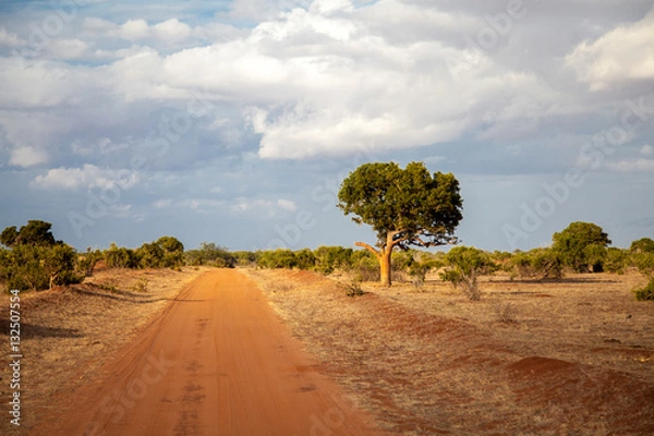 Fototapeta Landscape of Kenya, green trees, a road
