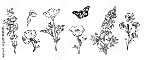 Obraz Set with meadow flowers. Line art. Vector illustration
