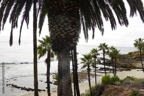 Obraz Laguna Beach, CA - Gorgeous Beach Views