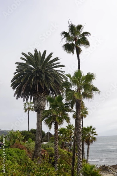 Obraz Laguna Beach, CA - Gorgeous Beach Views