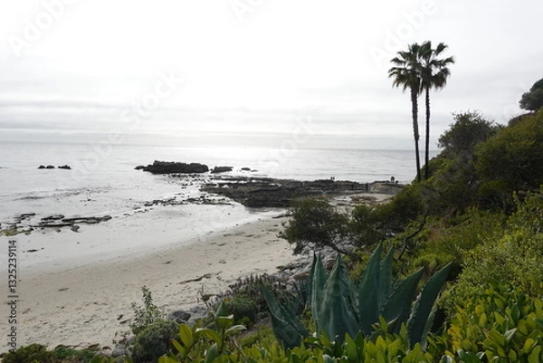 Obraz Laguna Beach, CA - Gorgeous Beach Views