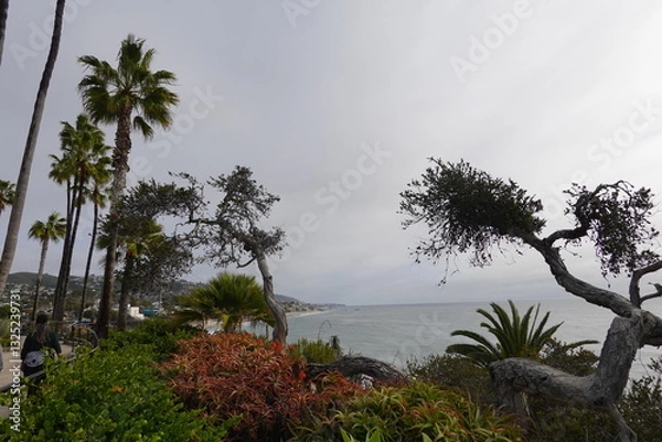 Obraz Laguna Beach, CA - Gorgeous Beach Views