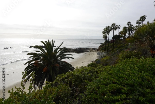 Obraz Laguna Beach, CA - Gorgeous Beach Views