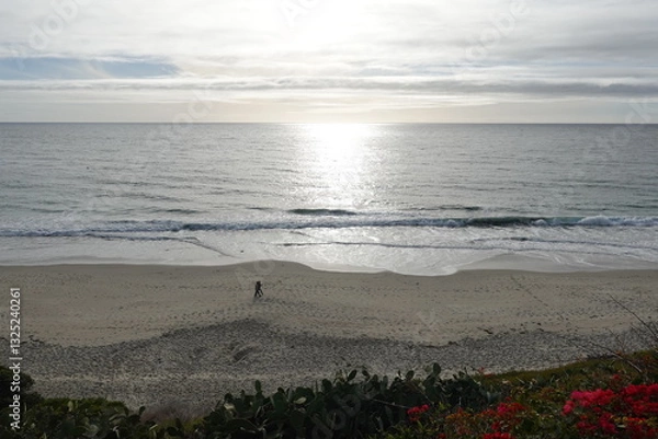Obraz Laguna Beach, CA - Gorgeous Beach Views